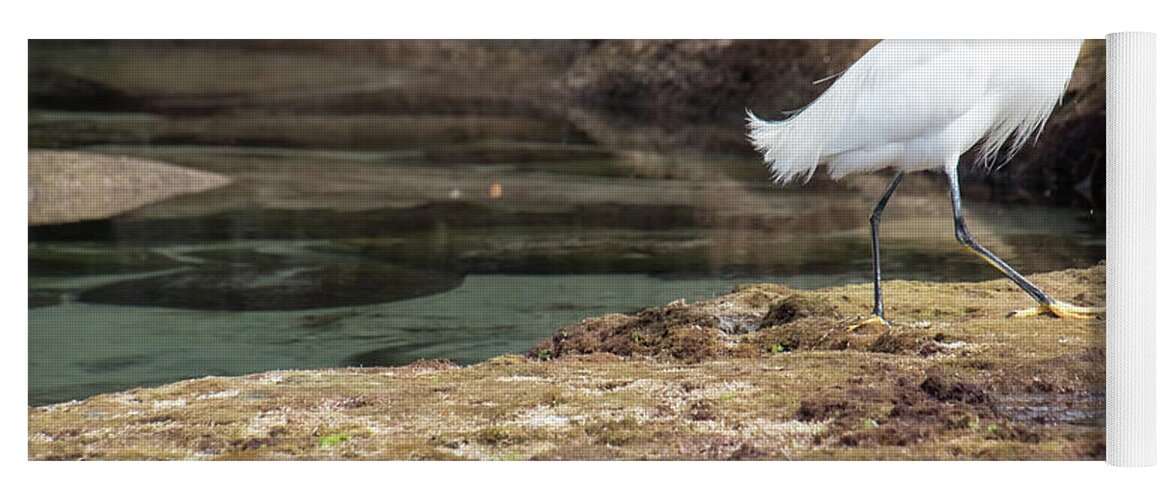 The Great Egret Yoga Mat featuring the photograph The Great Egret by Christina McGoran