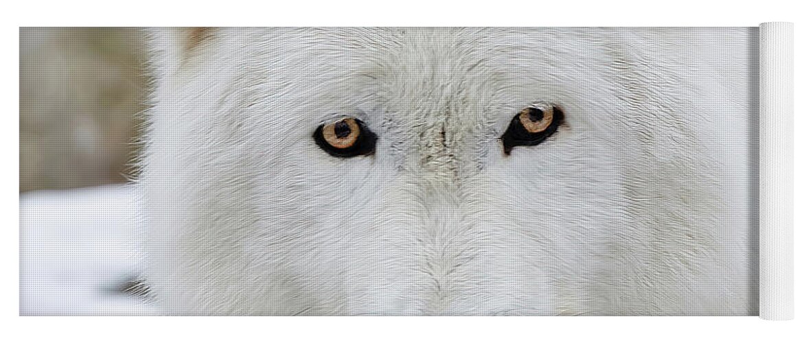 White Yoga Mat featuring the photograph The Inquisitive Wolf Stare by Gary Slawsky