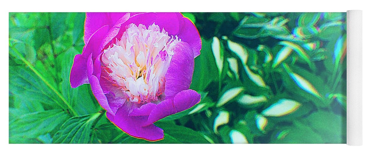 Peony Yoga Mat featuring the photograph The last Peony of the Season by Stacie Siemsen