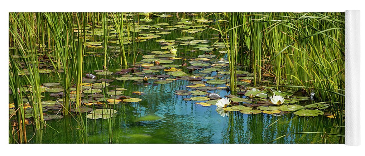 Water Lily Yoga Mat featuring the photograph The Lily Pond by Bonnie Follett