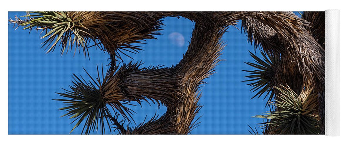 Joshua Yoga Mat featuring the photograph The Moon Through the Joshua Tree Joshua Tree California by Toby McGuire