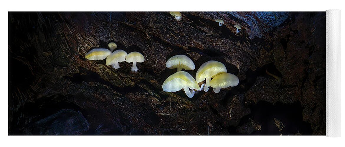 Mushroom Yoga Mat featuring the photograph The Mushroom Cave by Mark Andrew Thomas