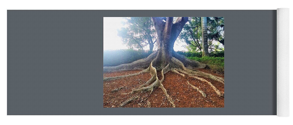 Nature Yoga Mat featuring the photograph The Strength of Our Roots by Vivian Aaron