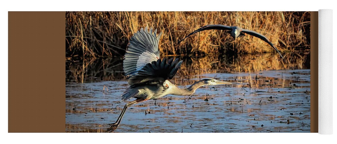 Heron Yoga Mat featuring the photograph The Takeoff 6 by Dennis Lundell