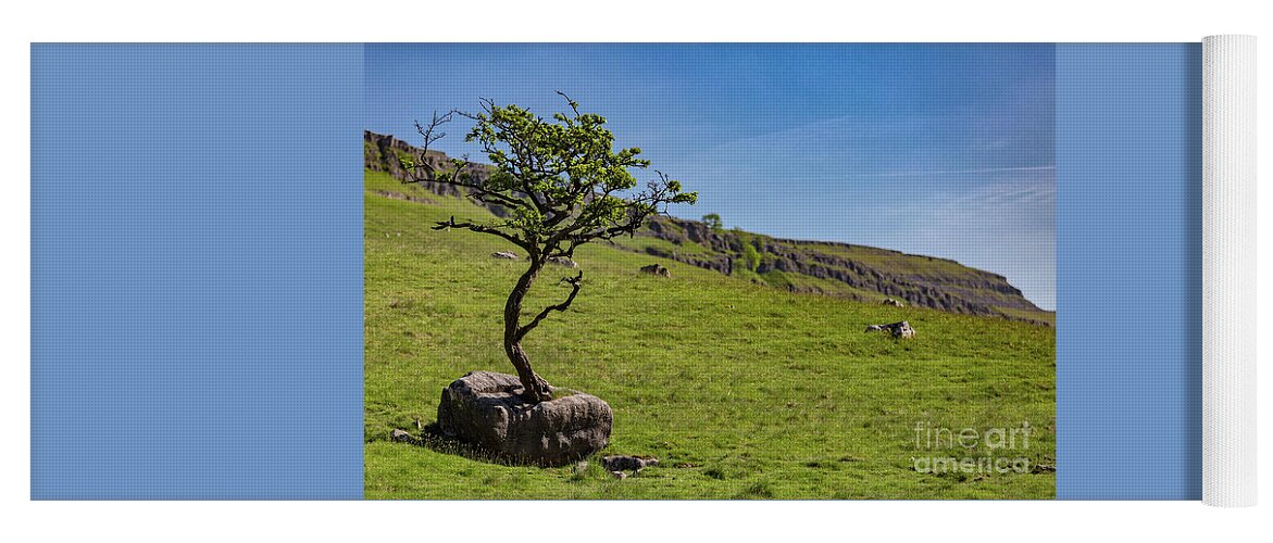 England Yoga Mat featuring the photograph The Tree In The Rock by Tom Holmes Photography