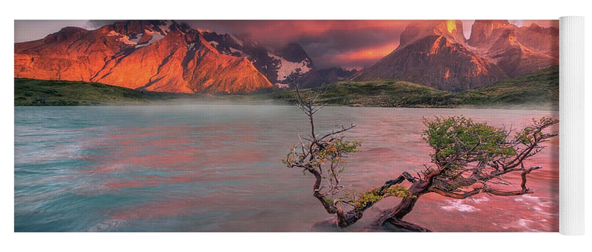 Patagonia Yoga Mat featuring the photograph The Twin Trees #3 by Henry w Liu