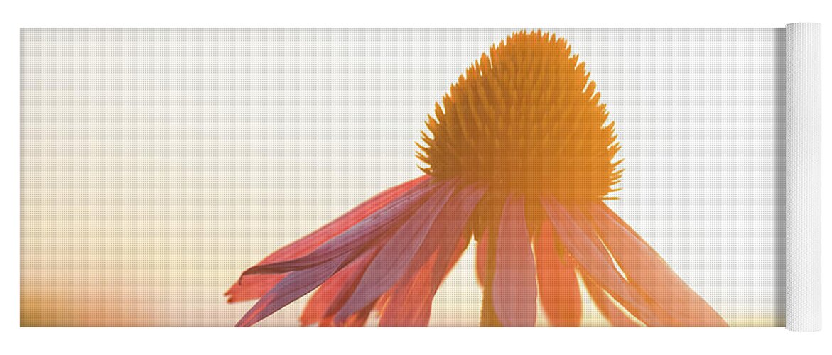 Flower Yoga Mat featuring the photograph They call it the Golden Hour by Kristine Hinrichs