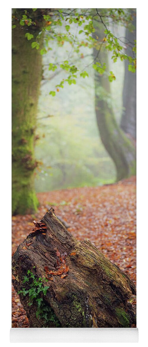 Autumn Yoga Mat featuring the photograph This Autumn goes all the way to 11 by Gavin Lewis