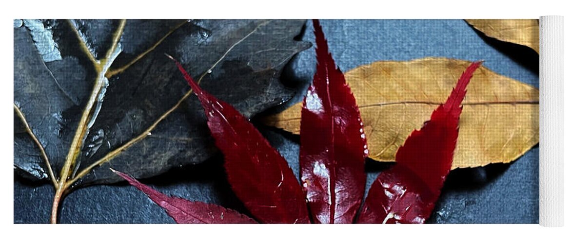 Autumn Yoga Mat featuring the photograph Three Autumn Leaves by Joy Sussman