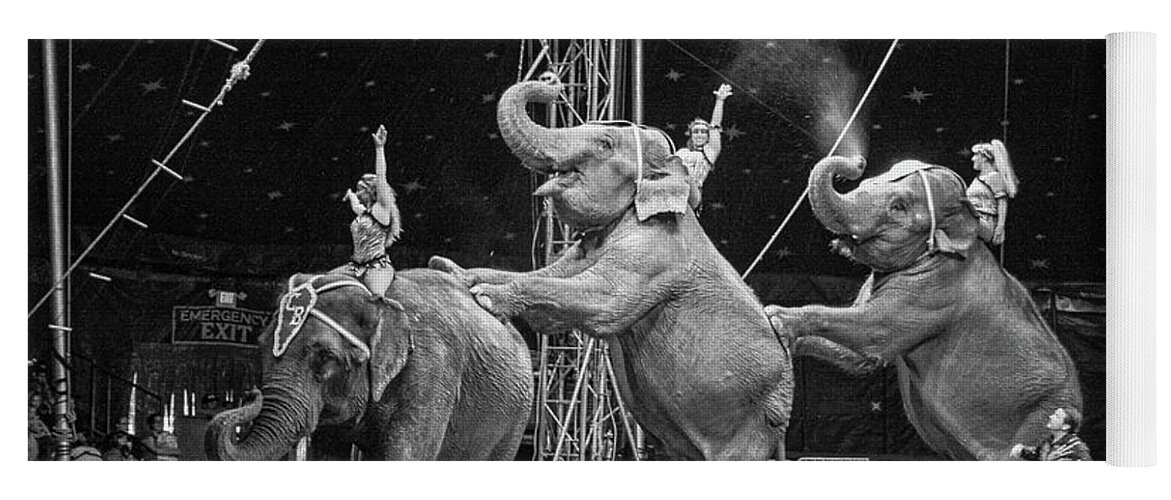 Elephants Yoga Mat featuring the photograph Three Elephant Circus Performance by Sally Bauer