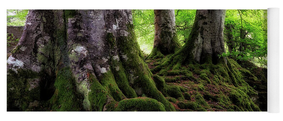 Acharn Scotland Yoga Mat featuring the photograph Three Kings of Acharn - Scotland - Trees by Jason Politte