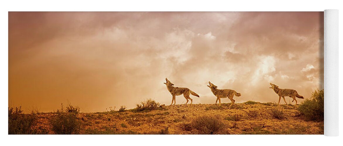 Coyote Yoga Mat featuring the digital art Three Part Harmony by Nicole Wilde
