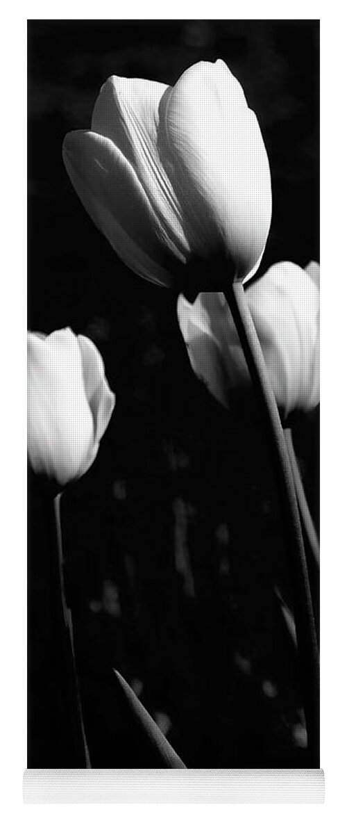 Tulip Yoga Mat featuring the photograph Three White Tulips by Elaine Teague