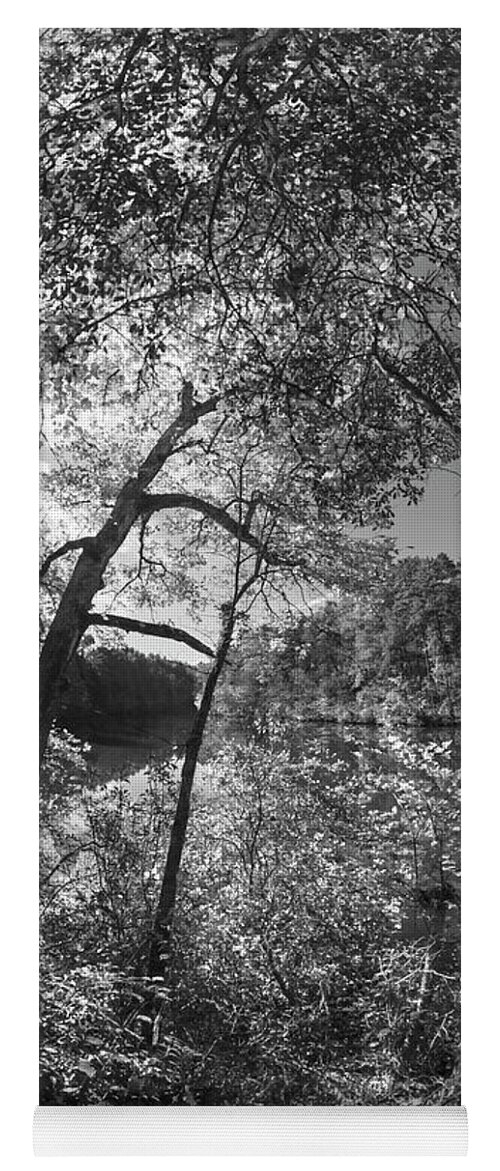 Carolina Yoga Mat featuring the photograph Through the Trees at the Lake Black and White by Debra and Dave Vanderlaan