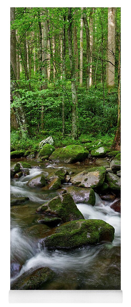Smoky Mountains Yoga Mat featuring the photograph Thunderhead Prong 6 by Phil Perkins