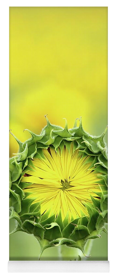 Sunflower Yoga Mat featuring the photograph Time To Wake Up by Lens Art Photography By Larry Trager