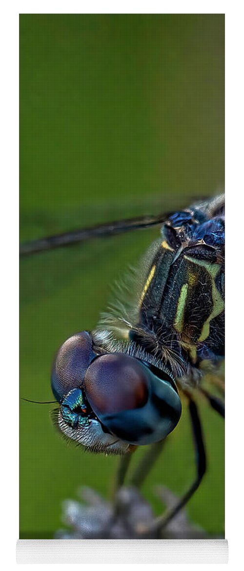 Insects Yoga Mat featuring the photograph Tiny World 2 by DB Hayes