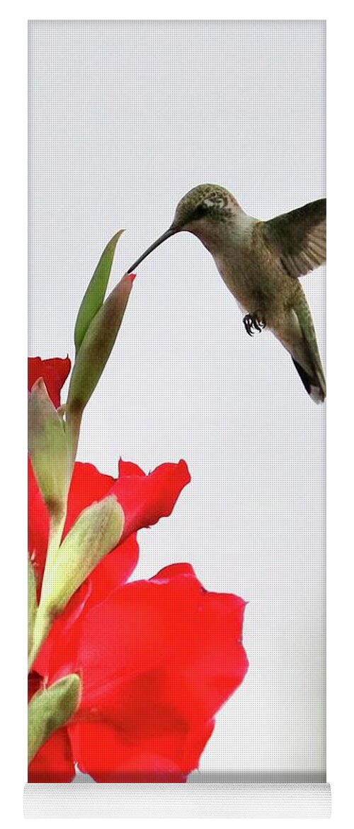 Hummingbird Yoga Mat featuring the photograph Tip Top Hummingbird by Carol Groenen