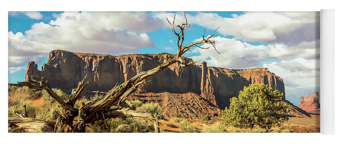 Scenic Landscapes Yoga Mat featuring the photograph Toll Of The Desert by John Bartelt
