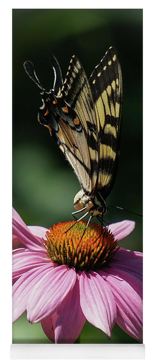 Swallowtail Yoga Mat featuring the photograph Top of the World by Tana Reiff