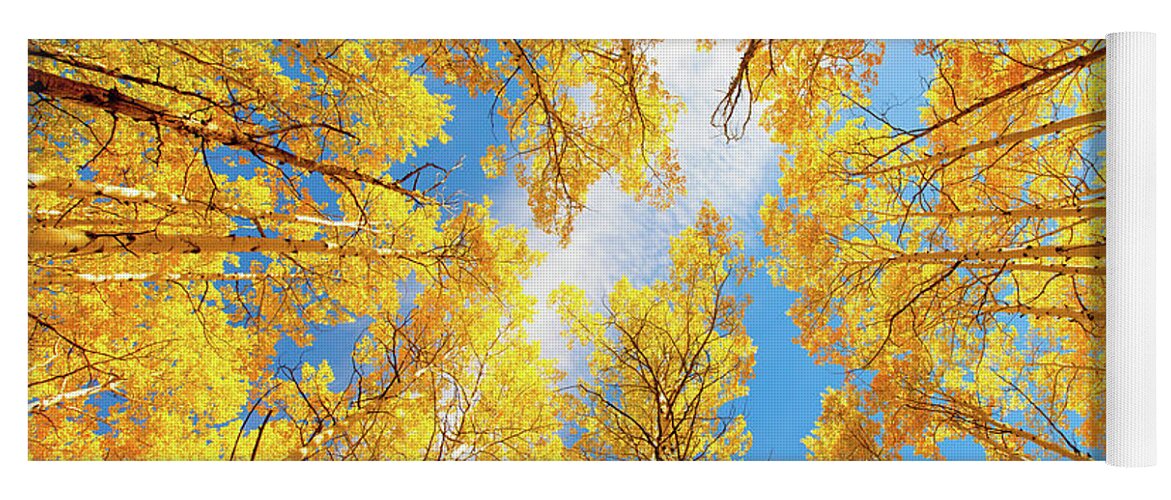 Aspens Yoga Mat featuring the photograph Towering Aspens by Darren White
