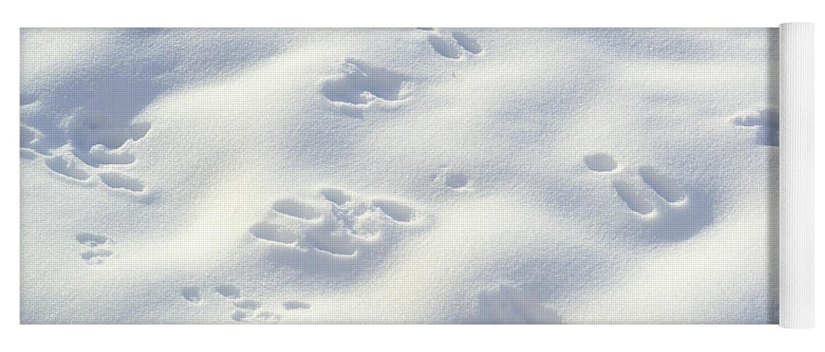 Snow Yoga Mat featuring the photograph Tracks and Shadows by Kae Cheatham