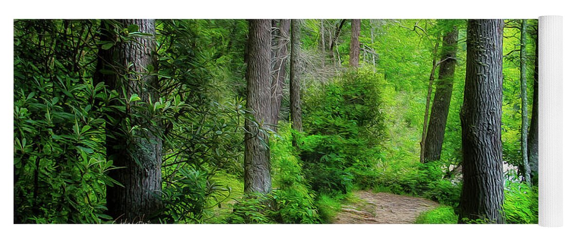 Trail Yoga Mat featuring the photograph Trail in Blue Ridge Mountains by Shelia Hunt
