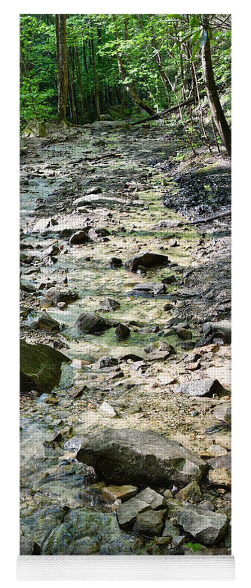 Trail Yoga Mat featuring the photograph Trail Is A Creek by Phil Perkins