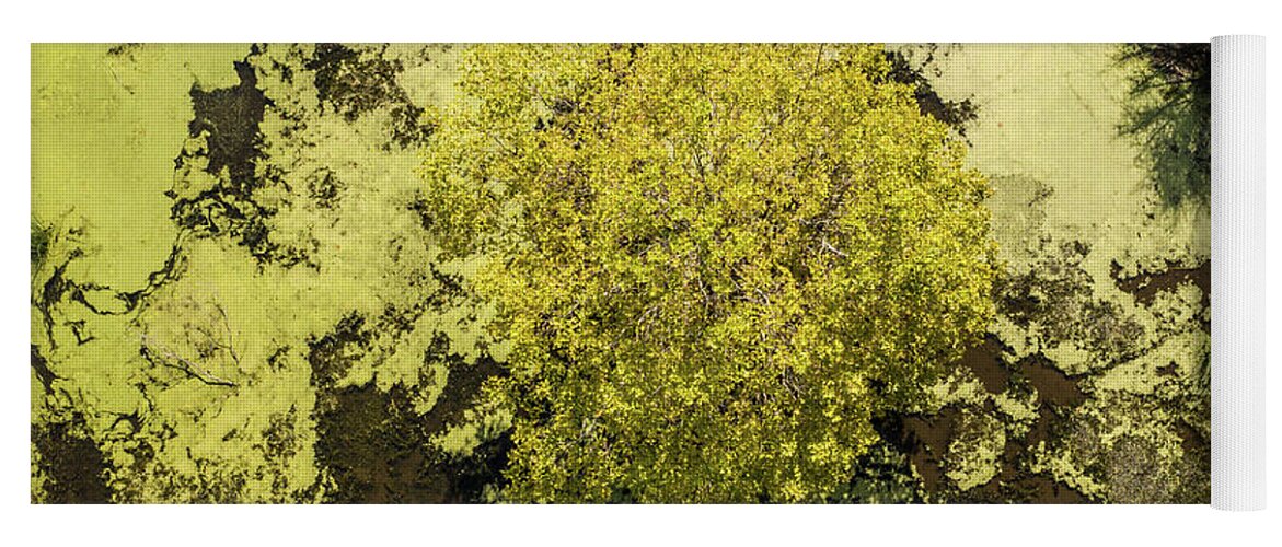 Drone Yoga Mat featuring the photograph Tree and Swamp from above by John McGraw