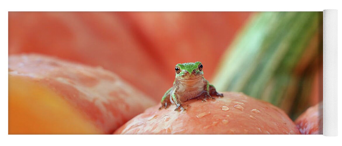 Tree Frog Yoga Mat featuring the photograph Tree Frog 4638 by Jack Schultz