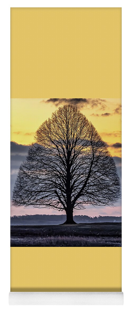 Tree. Sunrise Yoga Mat featuring the photograph Tree of Shadows by William Bretton