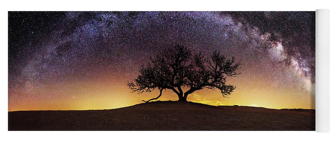 #faatoppicks Yoga Mat featuring the photograph Tree of Wisdom by Aaron J Groen