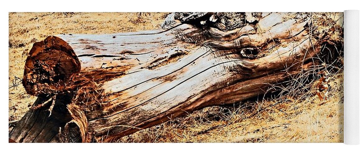Tree. Log Yoga Mat featuring the photograph Tree Stump Hillside by Andrew Lawrence