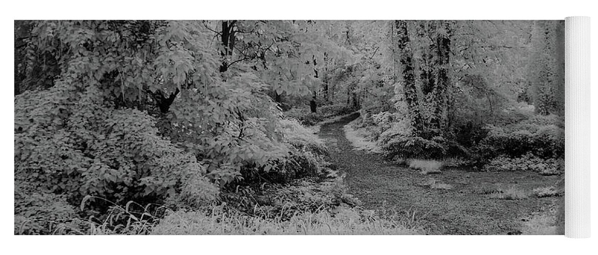 Trees Yoga Mat featuring the photograph Trees along the path in infrared by Alan Goldberg