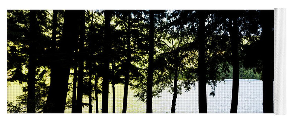 Dv8.ca Yoga Mat featuring the photograph Trees at Alice Lake by Jim Whitley