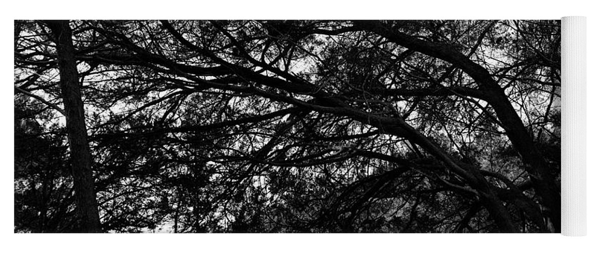 Georgia Yoga Mat featuring the photograph Trees, Hammock, Marshes of Glynn by John Simmons