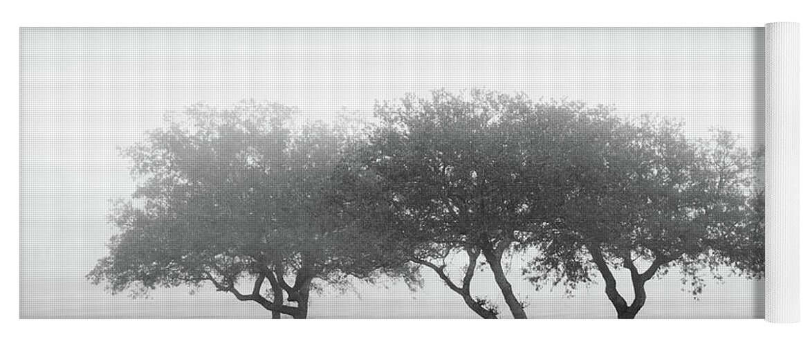 Foggy Trees Yoga Mat featuring the photograph Trees In black And White by Jordan Hill
