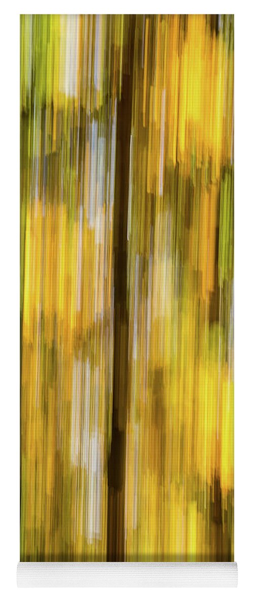 Abstract Yoga Mat featuring the photograph Trees in fall by Robert Miller