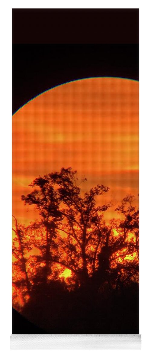 Sky Yoga Mat featuring the photograph Trees in Sunset by Karen Stansberry