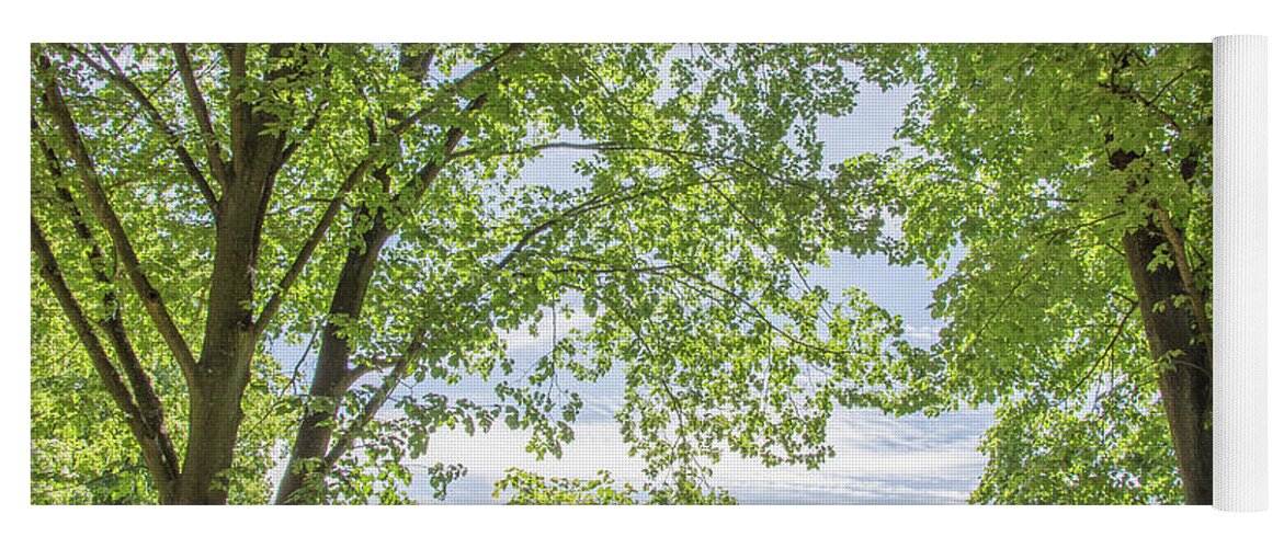 Trent Park Yoga Mat featuring the photograph Trent Park Trees Summer 1 by Edmund Peston