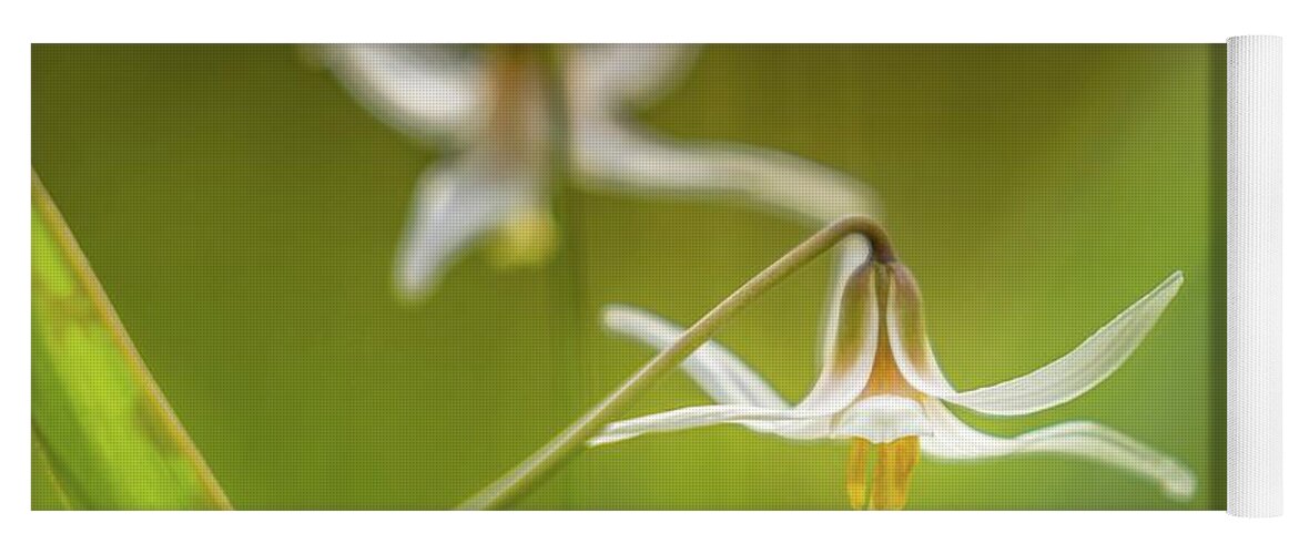 Flower Yoga Mat featuring the photograph Trout Lily 2 by Bill Frische