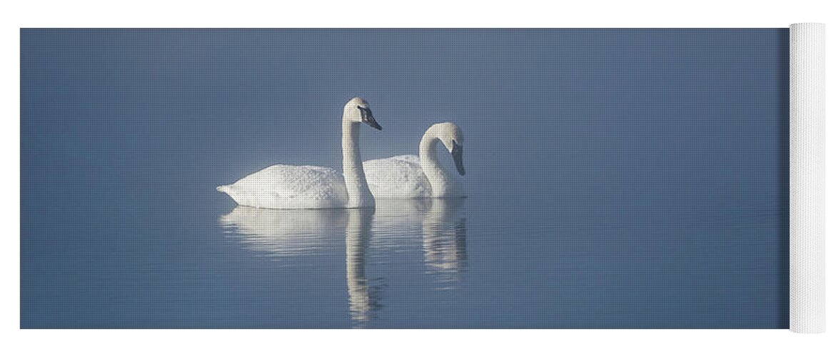 Swan Yoga Mat featuring the photograph Trumpeter Swans in the Mist by Linda Villers