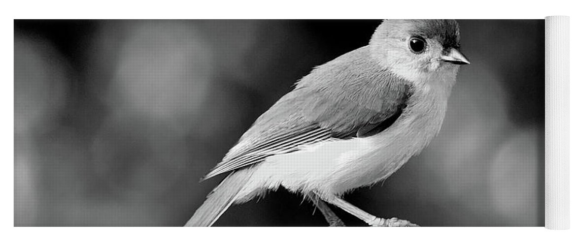 Tufted Titmouse Yoga Mat featuring the photograph Tufted Titmouse Pose Monochrome by Jerry Griffin