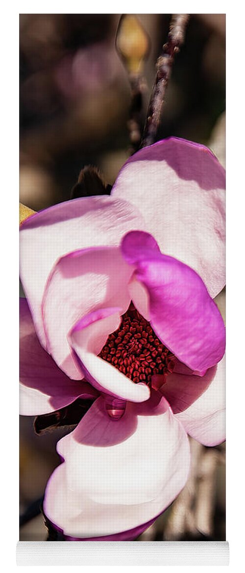 Tulip Magnolia Yoga Mat featuring the photograph Tulip Magnolia Flower by Flees Photos