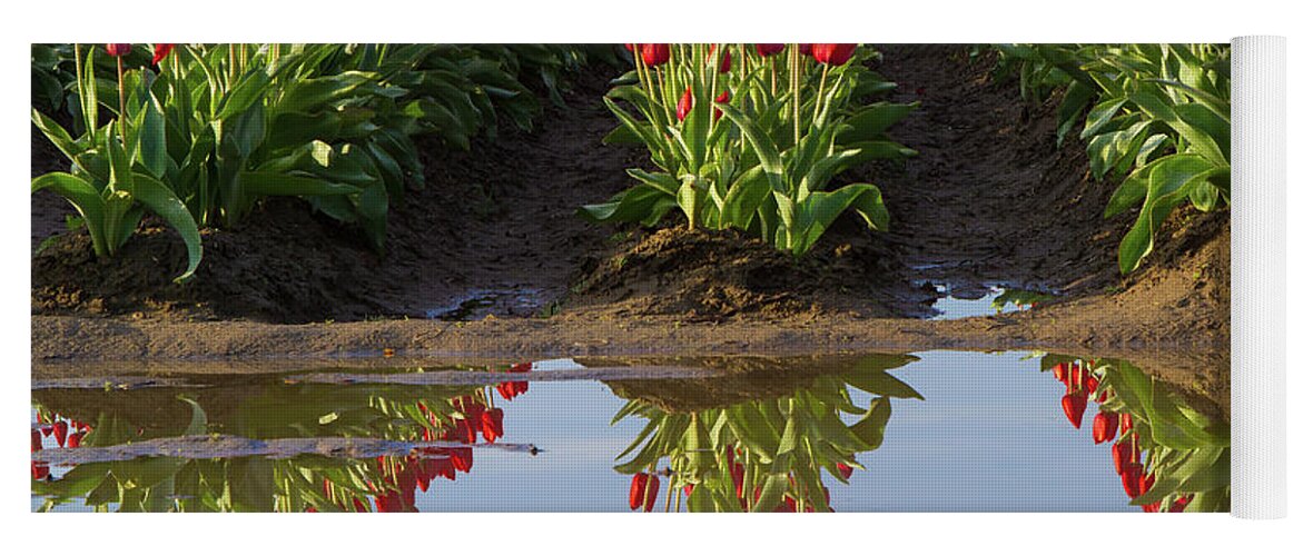 Tulips Yoga Mat featuring the photograph Tulip Reflection by Michael Rauwolf