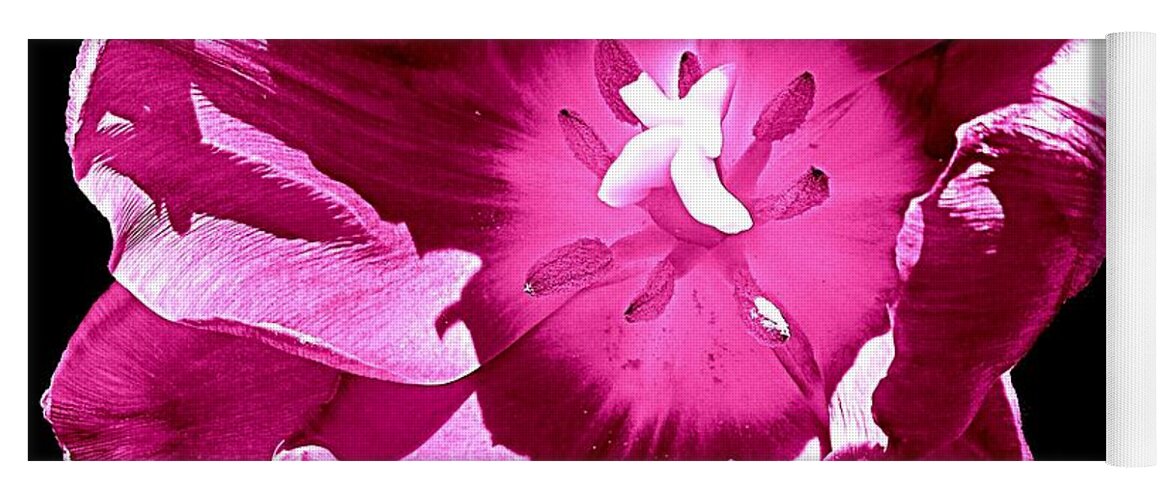 Tulip Yoga Mat featuring the photograph Tulip - Sassy Purple by VIVA Anderson