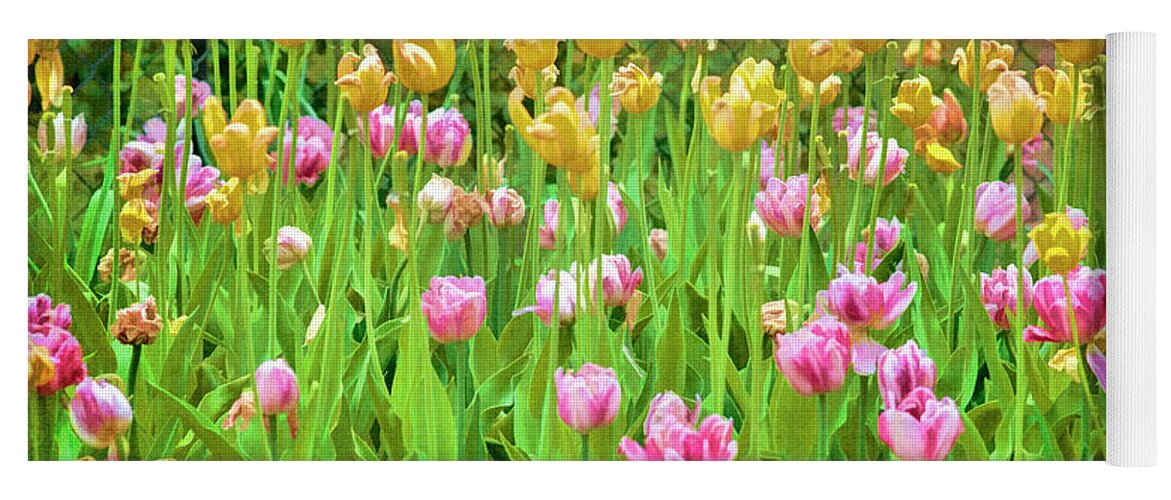 Tulips Yoga Mat featuring the photograph Tulips by Cathy Kovarik