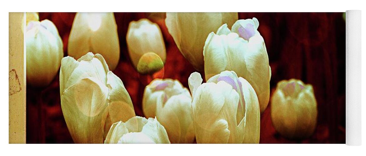 Tulips Yoga Mat featuring the photograph Tulips Garden Hibster by Michelle Liebenberg