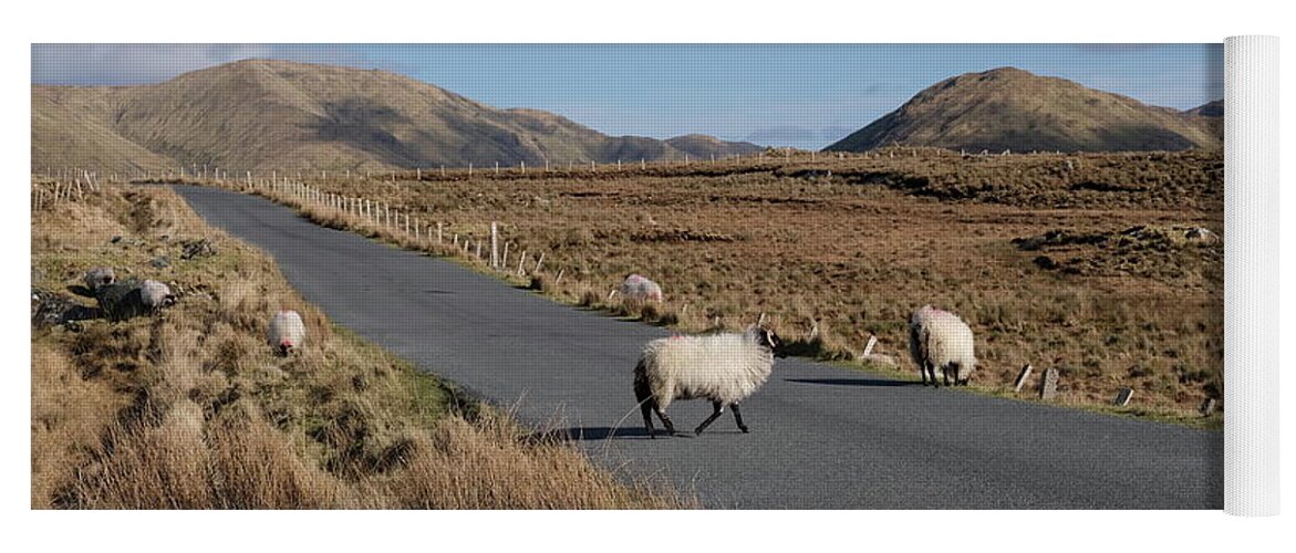 Connemara Ireland Galway Isolation Sheep Sky Roadside Mountains Photography Prints Landscape Yoga Mat featuring the photograph Tully road Connemara by Peter Skelton