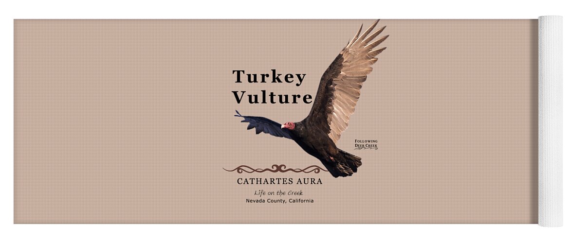 Turkey Vulture Yoga Mat featuring the digital art Turkey Vulture Cathartes aura by Lisa Redfern